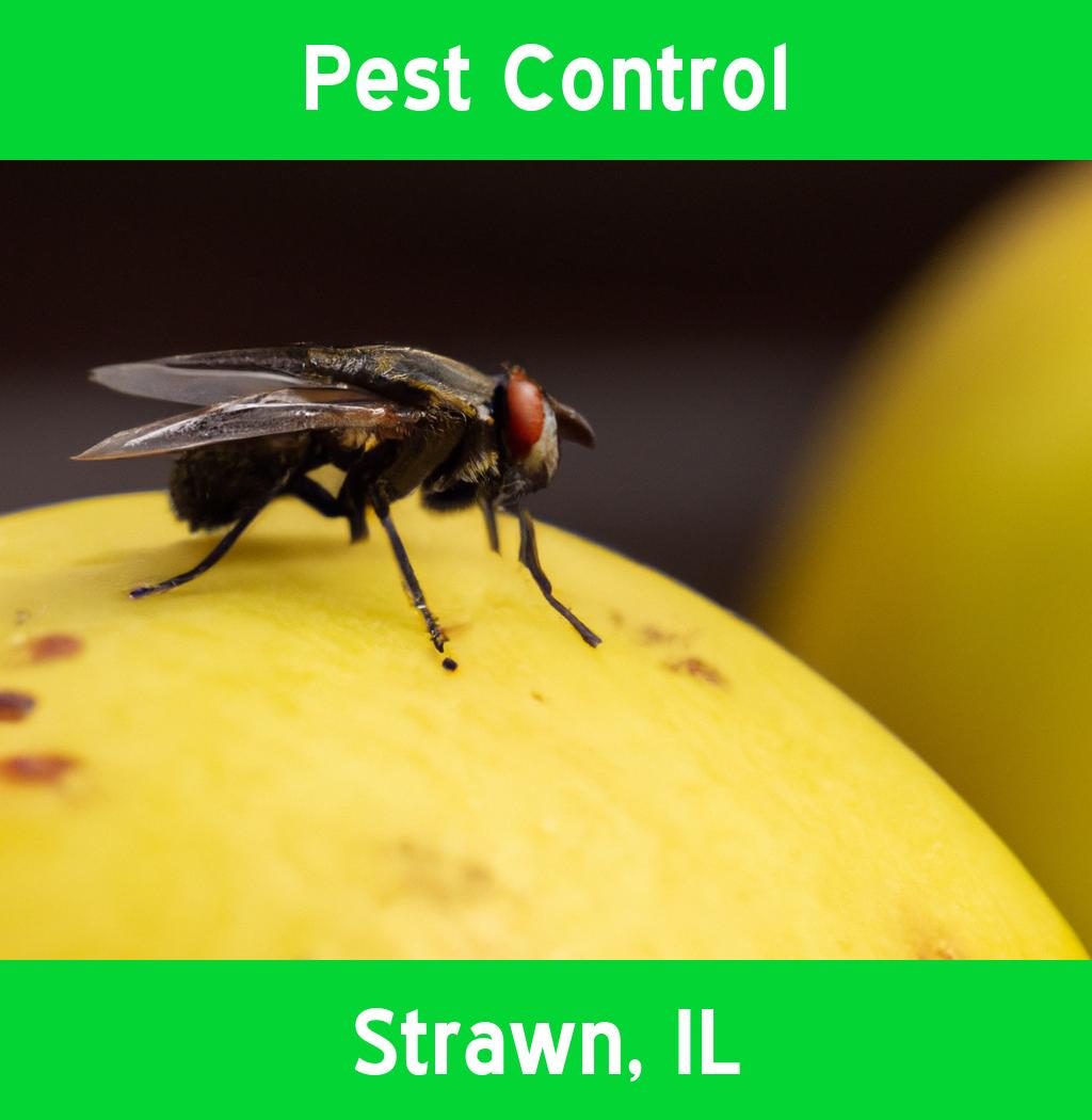 pest control in Strawn Illinois