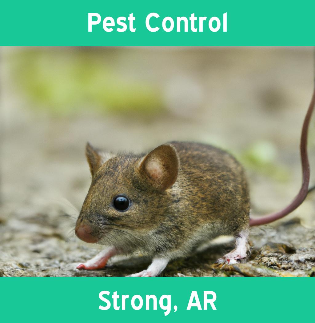 pest control in Strong Arkansas
