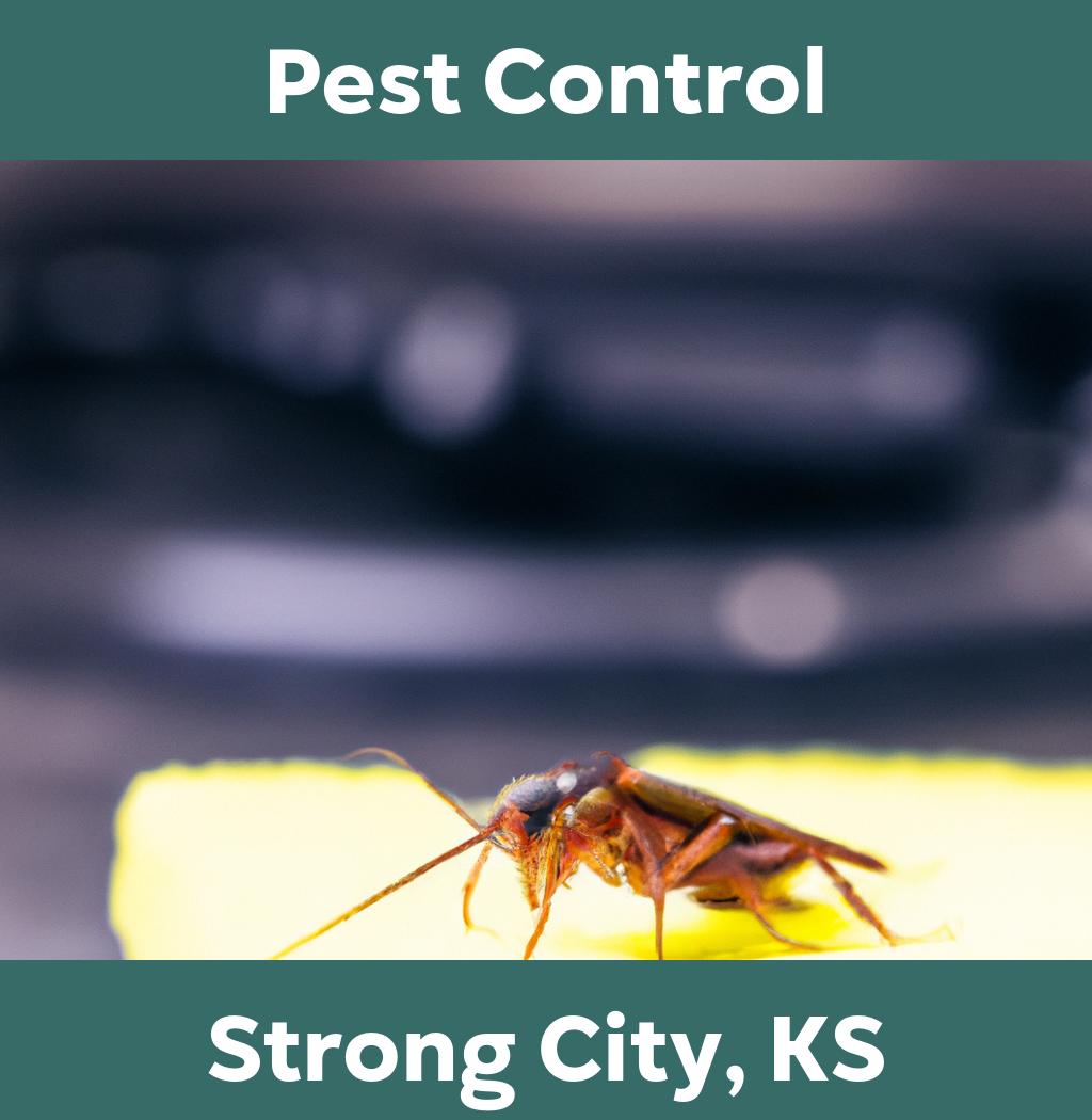 pest control in Strong City Kansas
