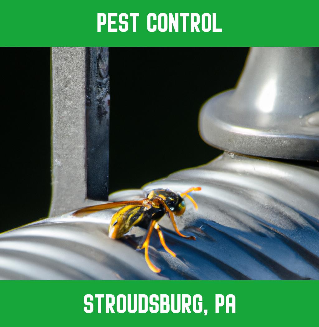pest control in Stroudsburg Pennsylvania