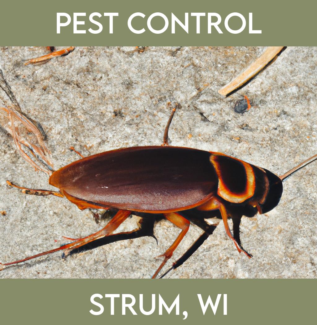 pest control in Strum Wisconsin