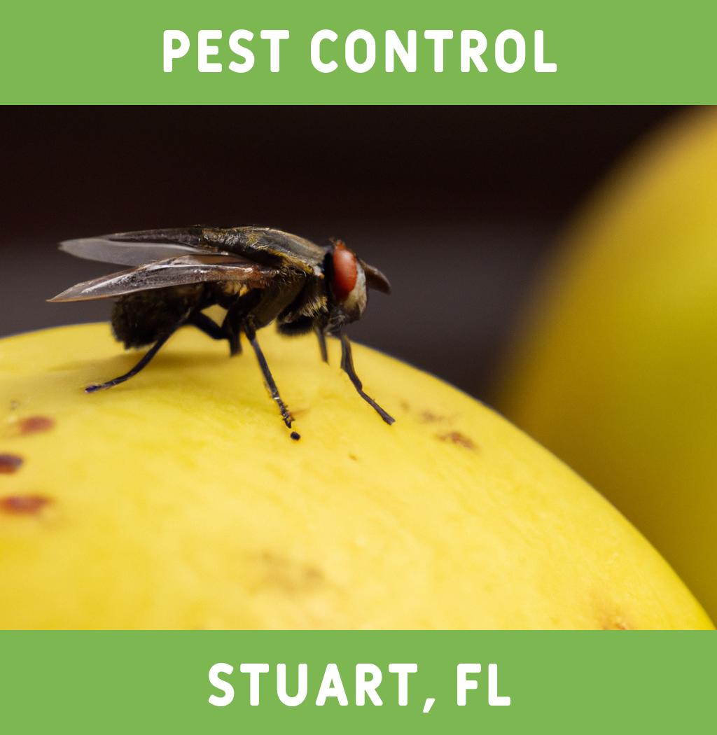 pest control in Stuart Florida