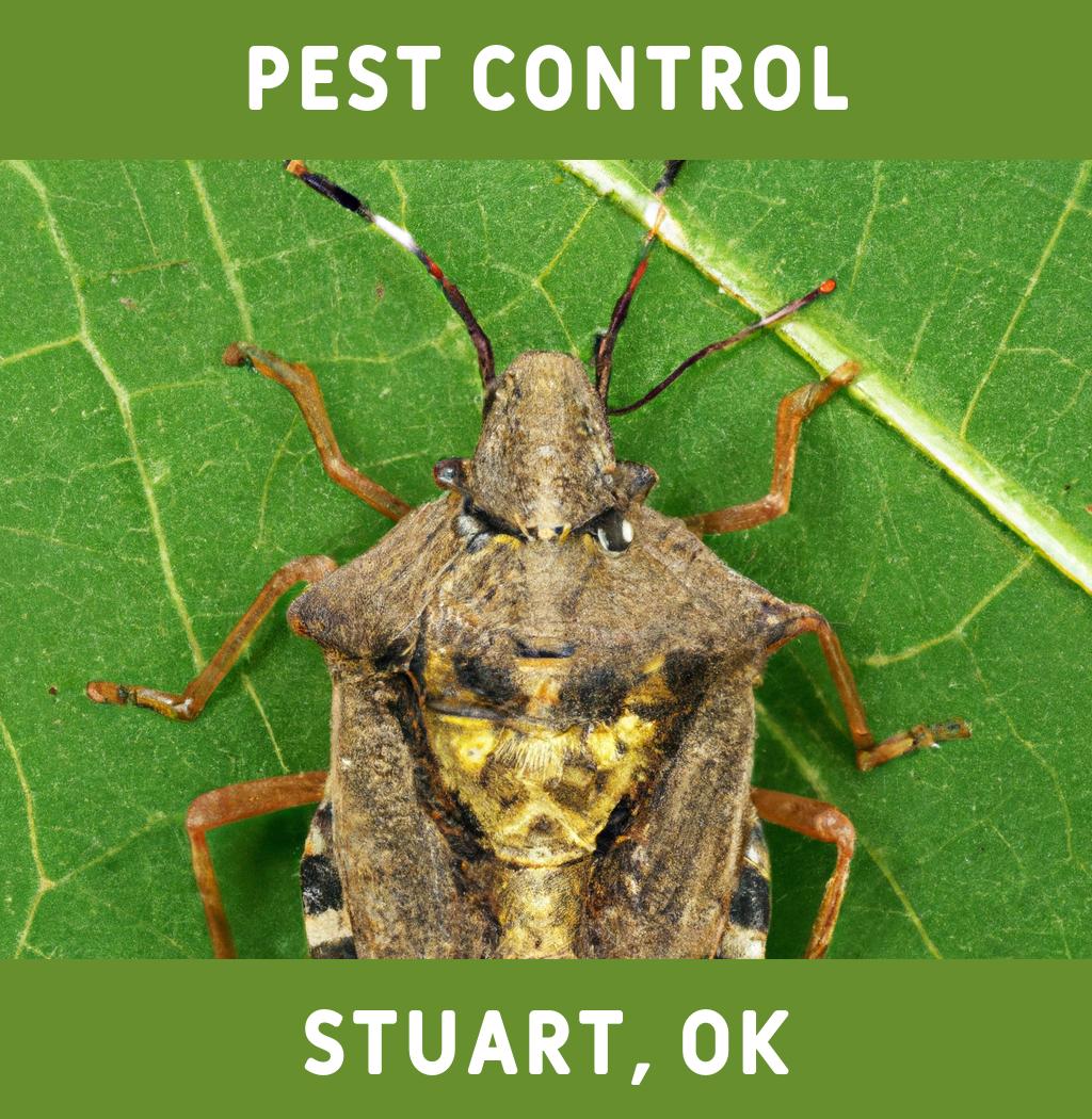 pest control in Stuart Oklahoma