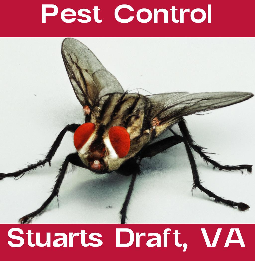 pest control in Stuarts Draft Virginia