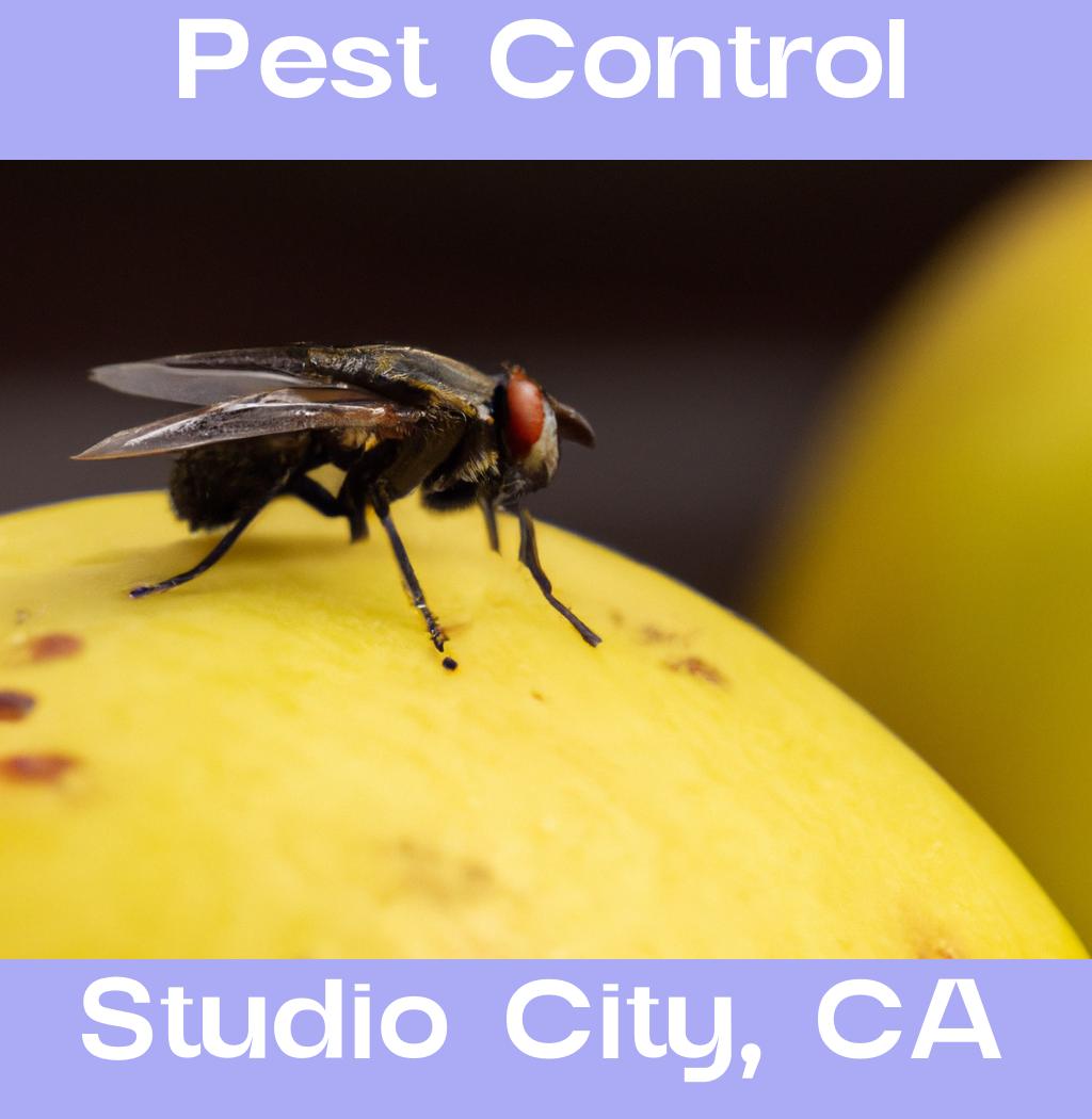 pest control in Studio City California