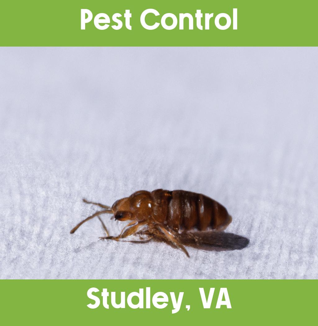 pest control in Studley Virginia