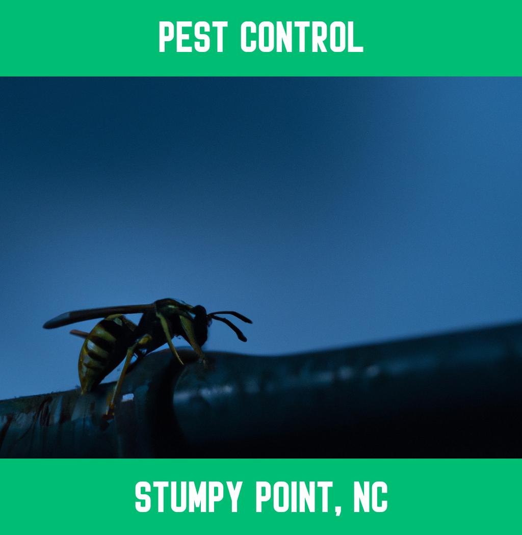 pest control in Stumpy Point North Carolina