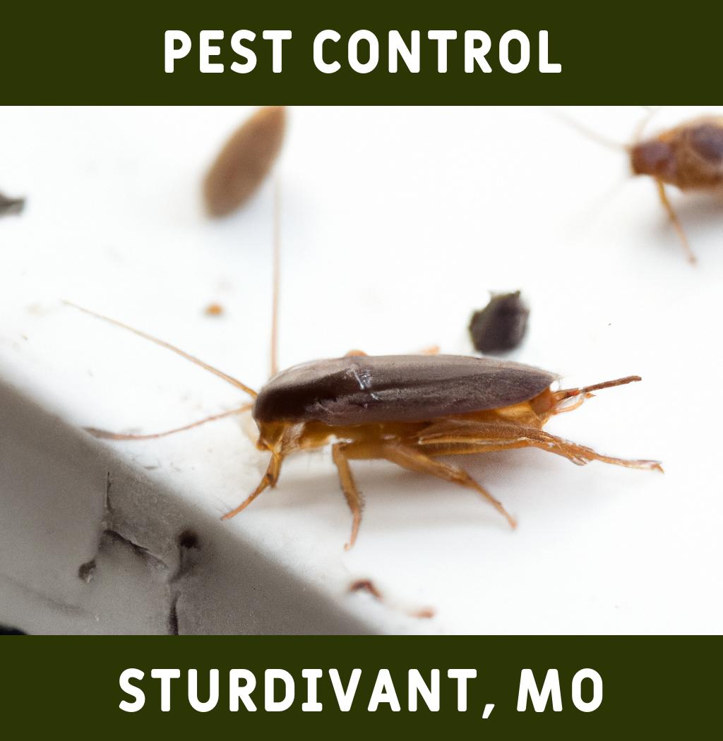 pest control in Sturdivant Missouri