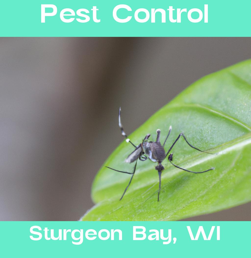 pest control in Sturgeon Bay Wisconsin