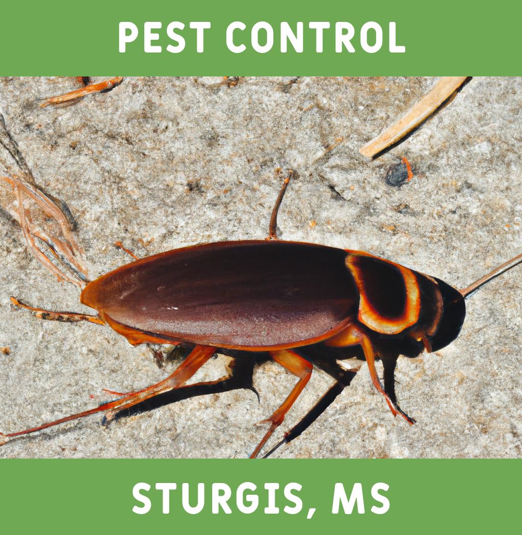 pest control in Sturgis Mississippi