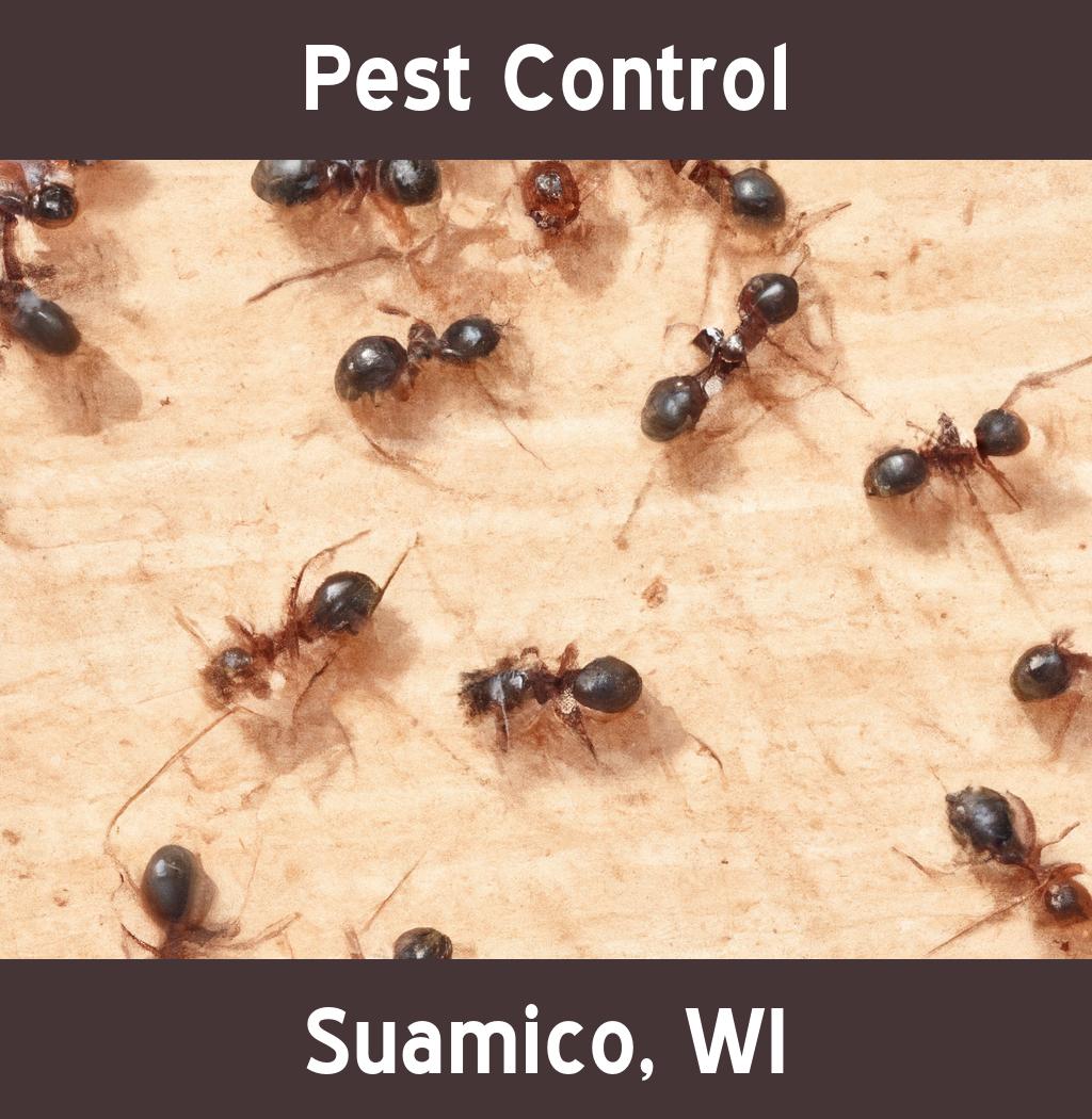 pest control in Suamico Wisconsin