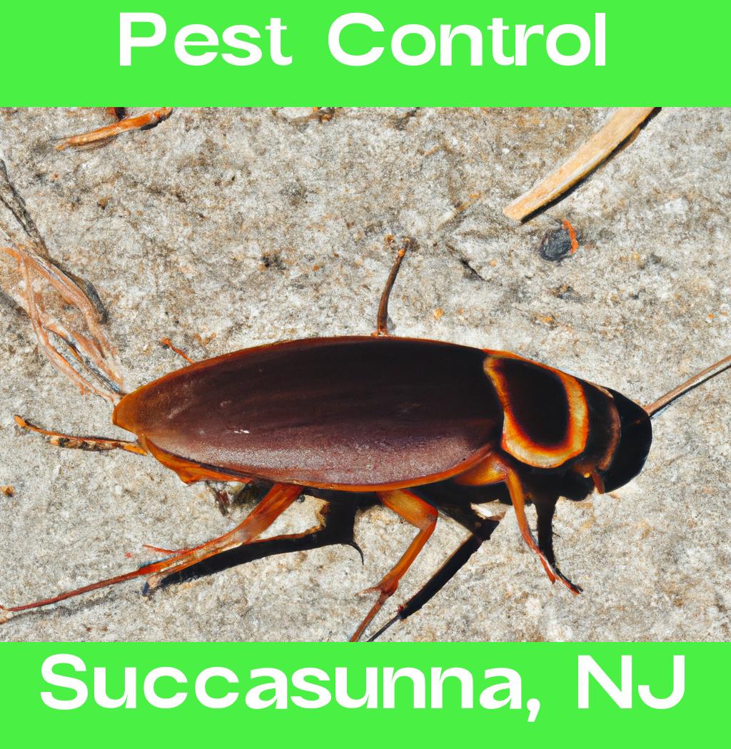 pest control in Succasunna New Jersey