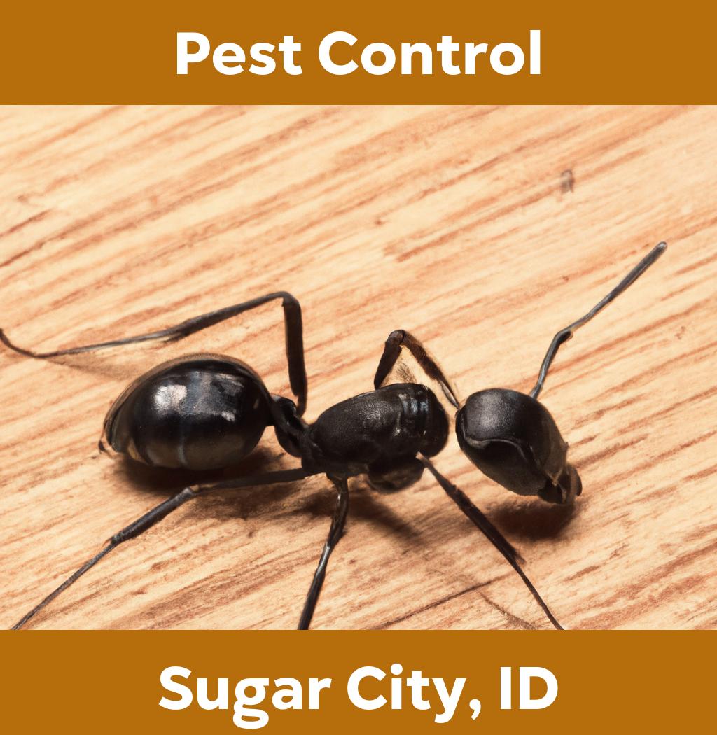 pest control in Sugar City Idaho