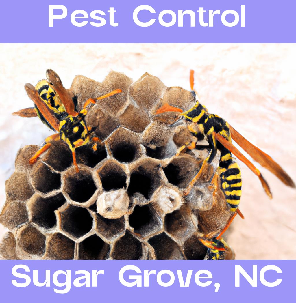 pest control in Sugar Grove North Carolina