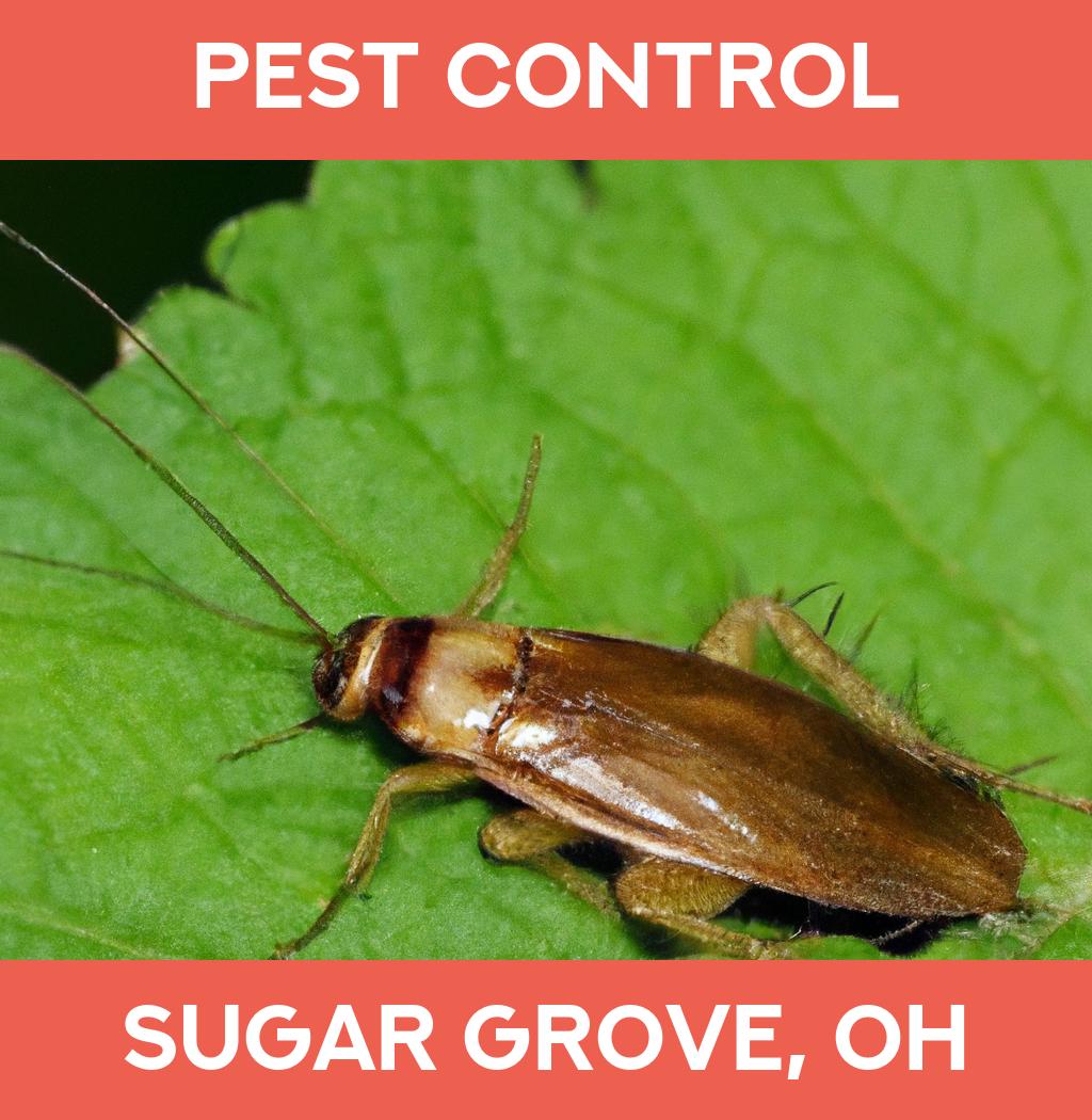pest control in Sugar Grove Ohio
