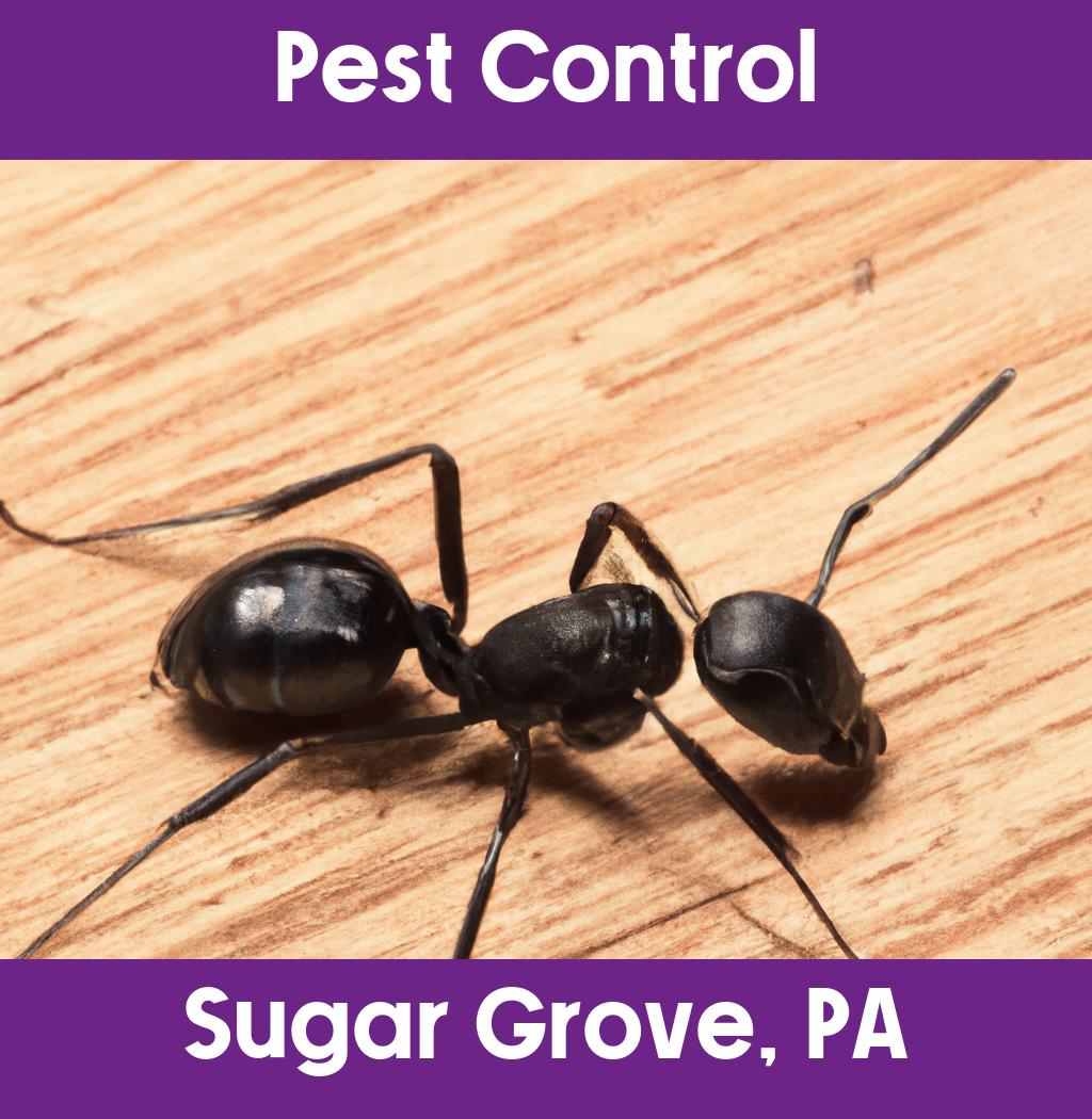 pest control in Sugar Grove Pennsylvania