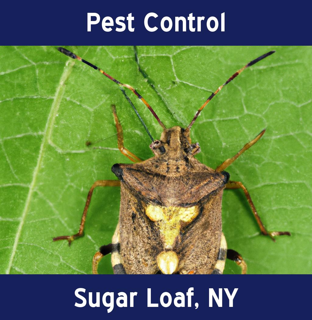 pest control in Sugar Loaf New York