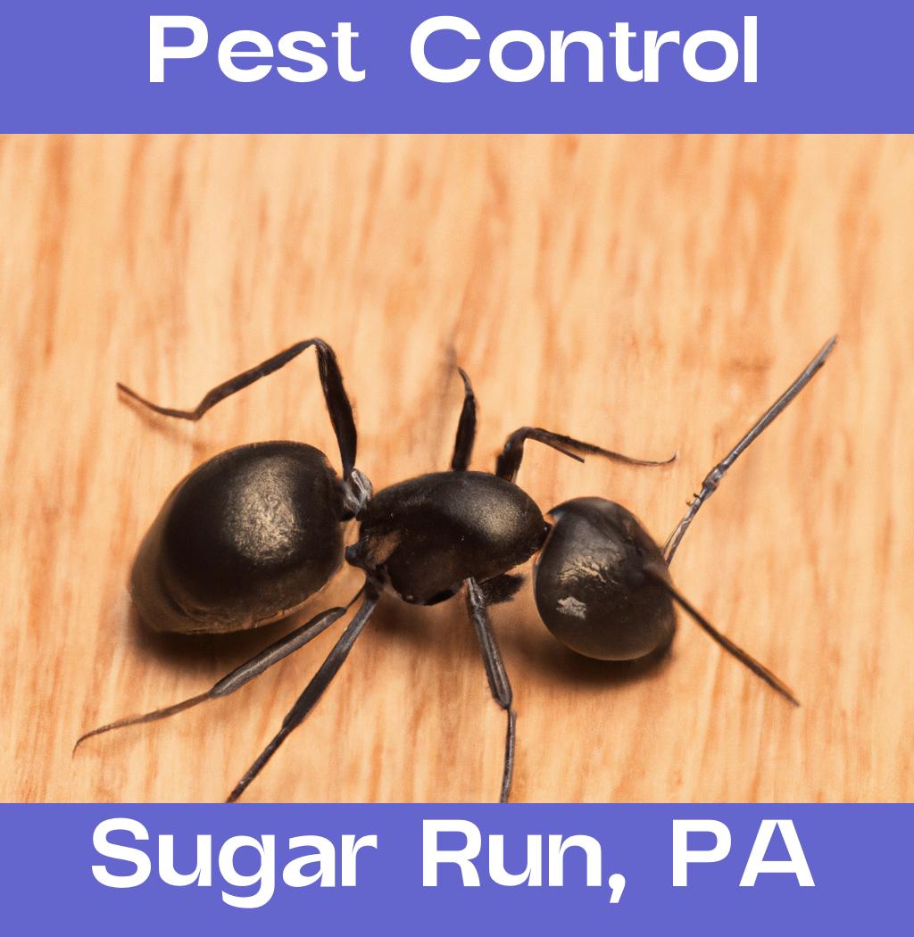 pest control in Sugar Run Pennsylvania