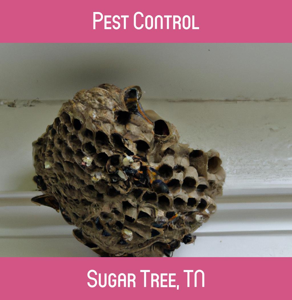 pest control in Sugar Tree Tennessee