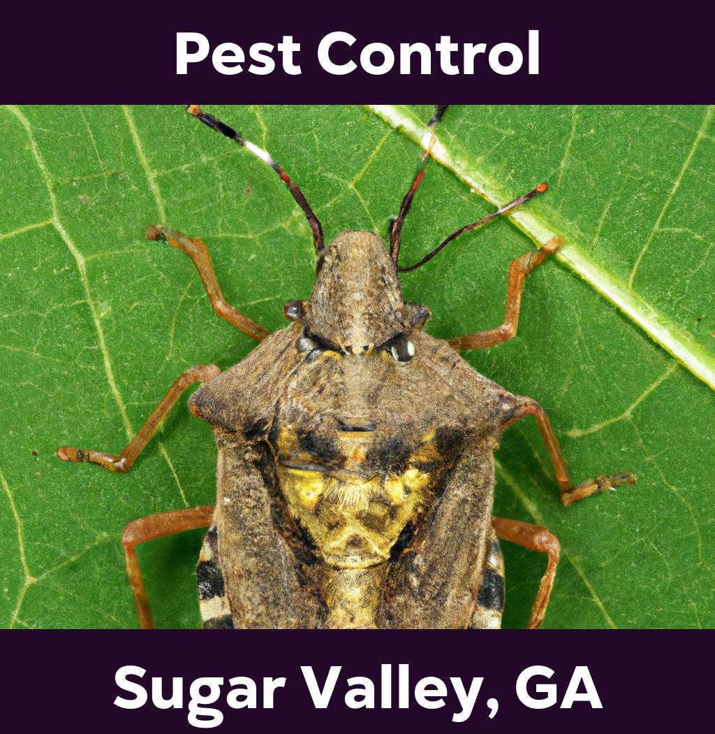 pest control in Sugar Valley Georgia