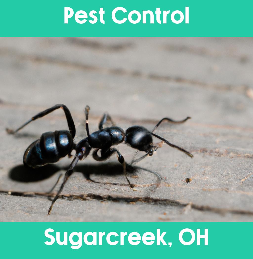 pest control in Sugarcreek Ohio