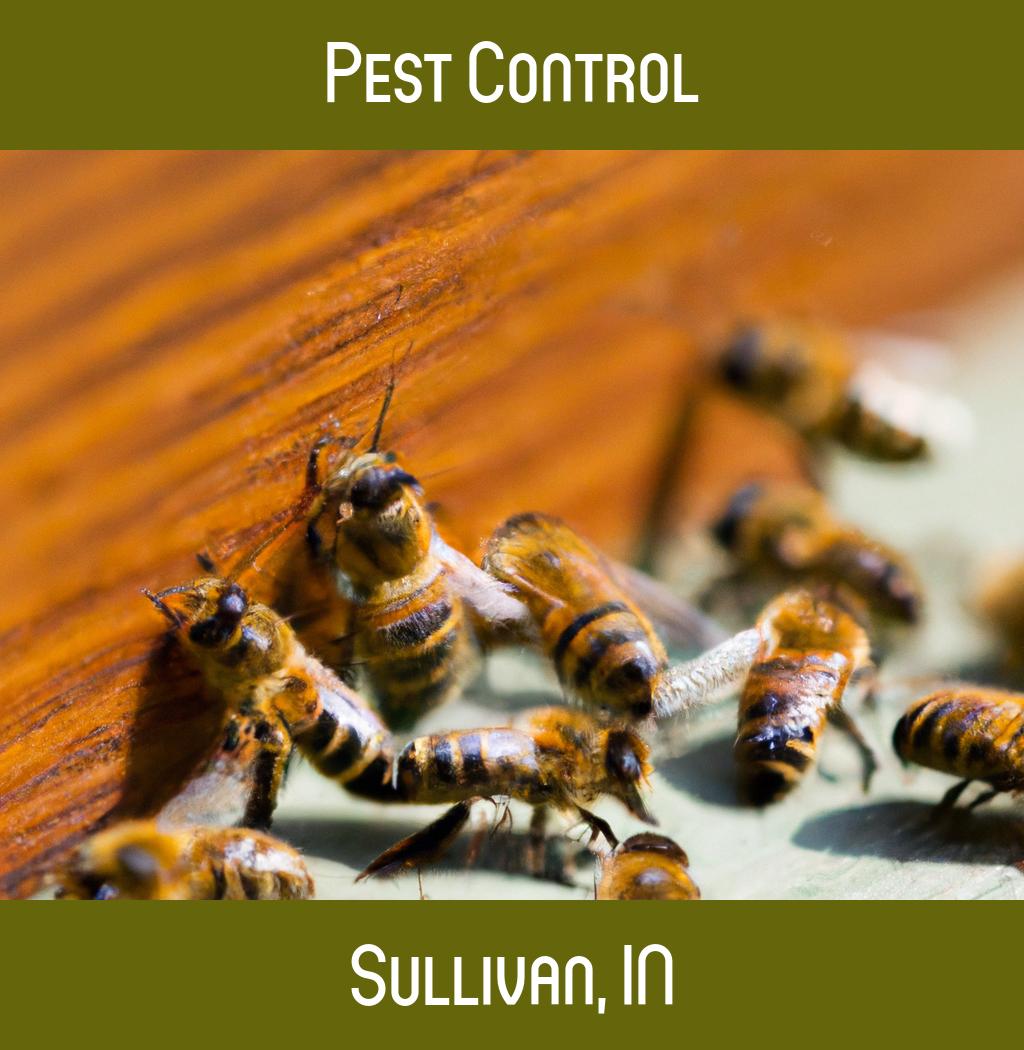 pest control in Sullivan Indiana