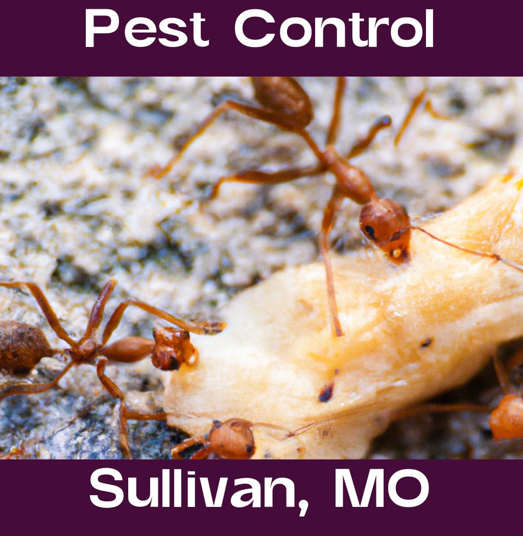 pest control in Sullivan Missouri