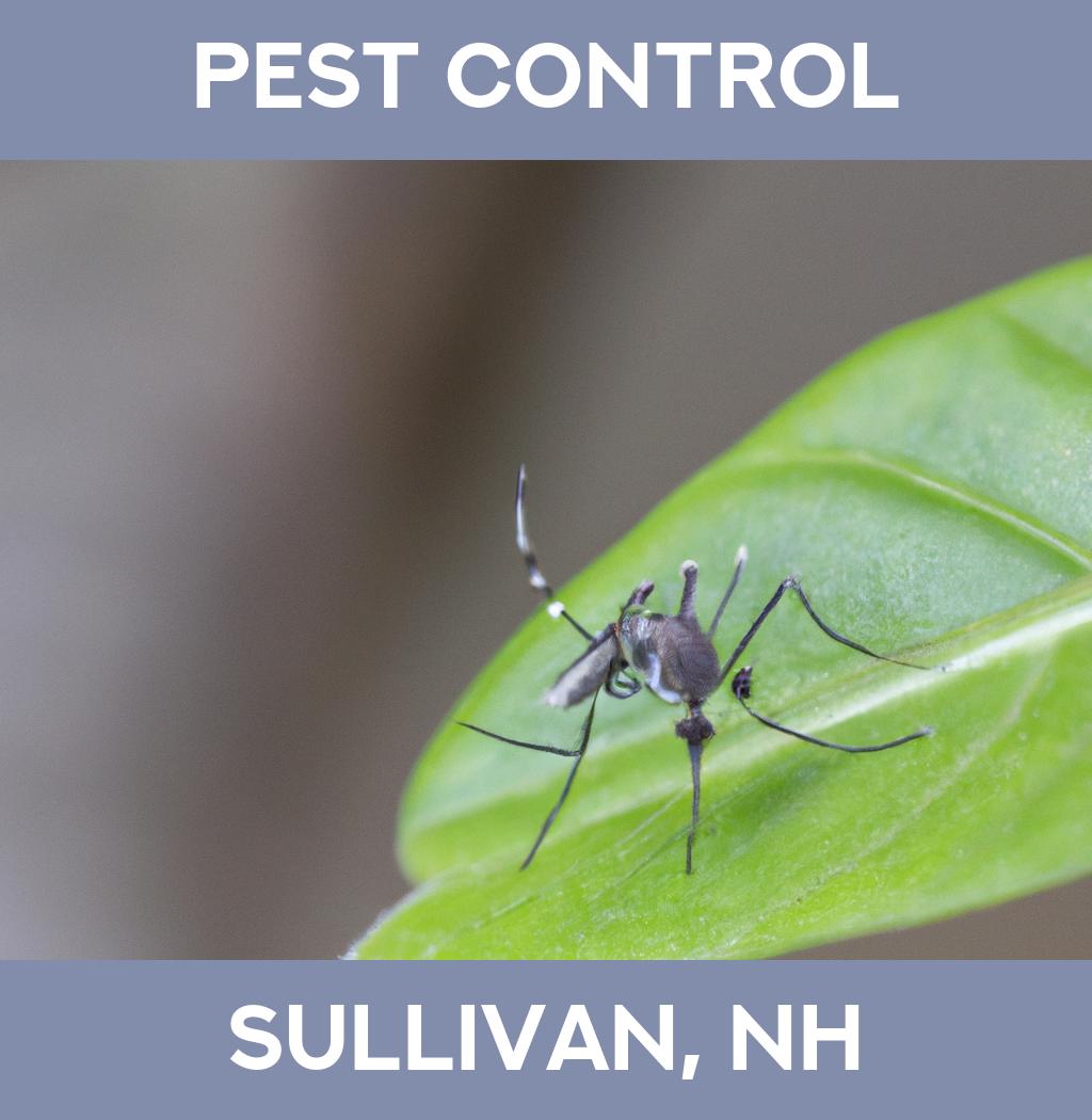 pest control in Sullivan New Hampshire