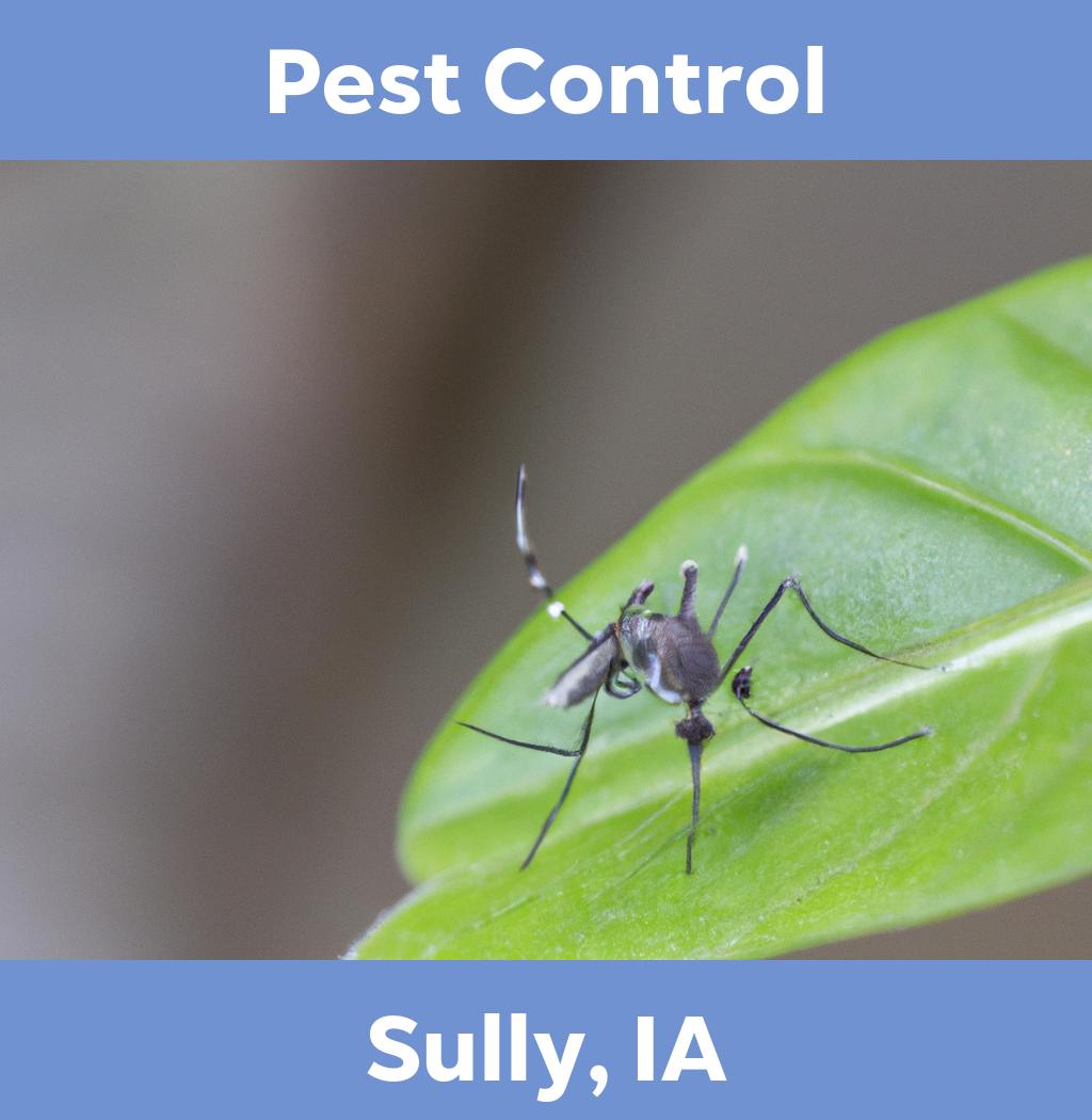 pest control in Sully Iowa