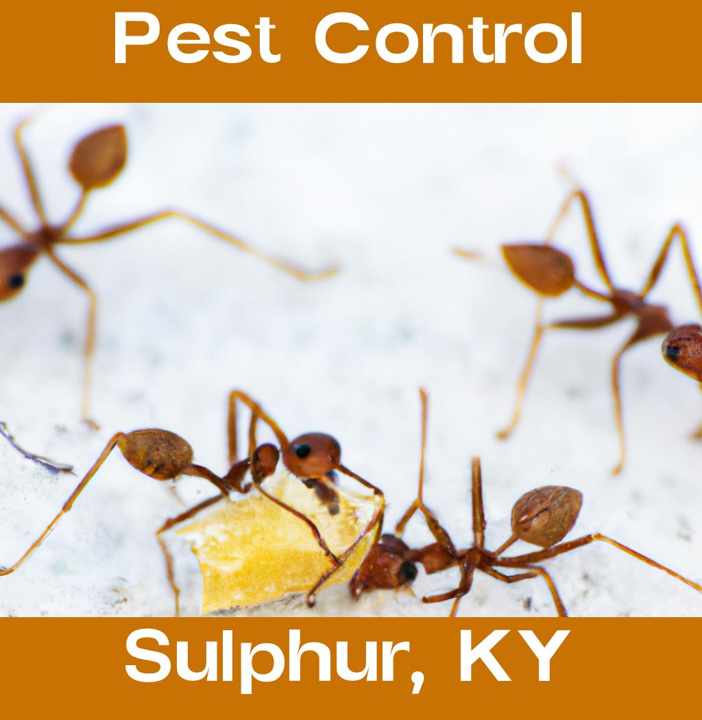 pest control in Sulphur Kentucky