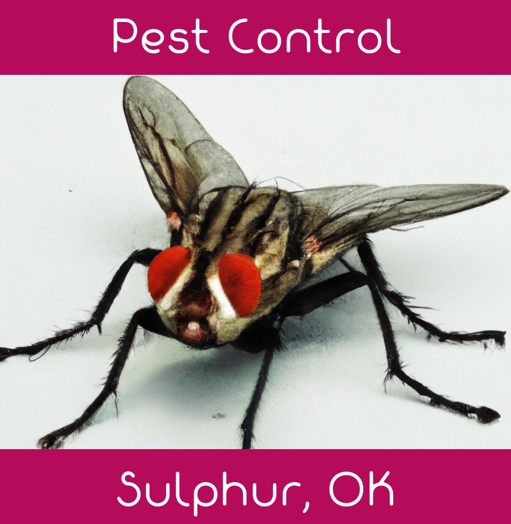 pest control in Sulphur Oklahoma