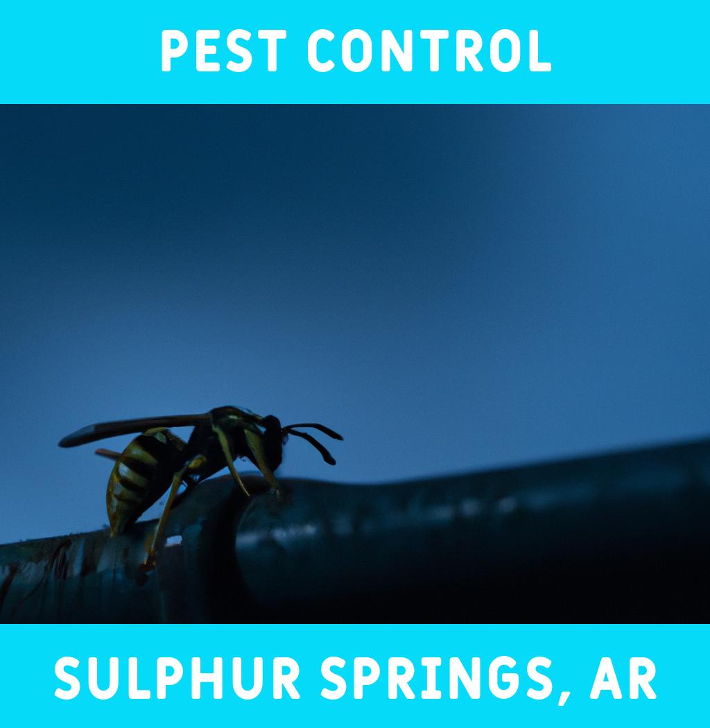 pest control in Sulphur Springs Arkansas