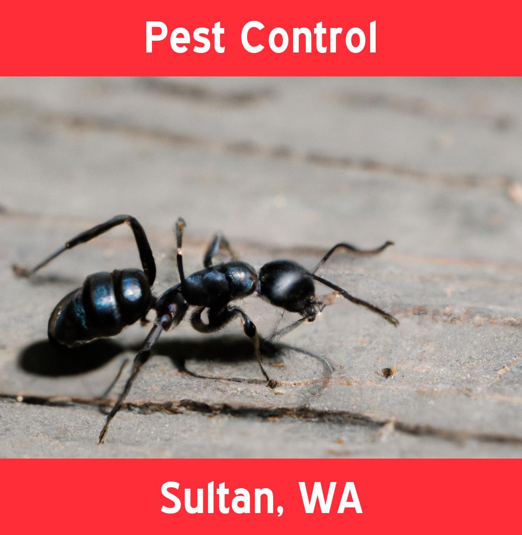 pest control in Sultan Washington