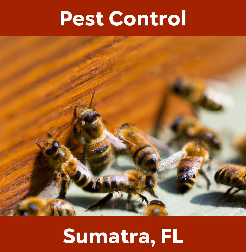 pest control in Sumatra Florida