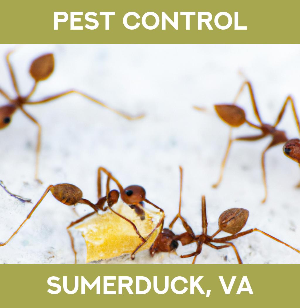 pest control in Sumerduck Virginia