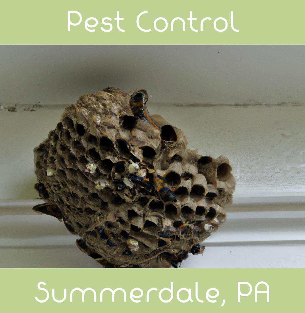pest control in Summerdale Pennsylvania