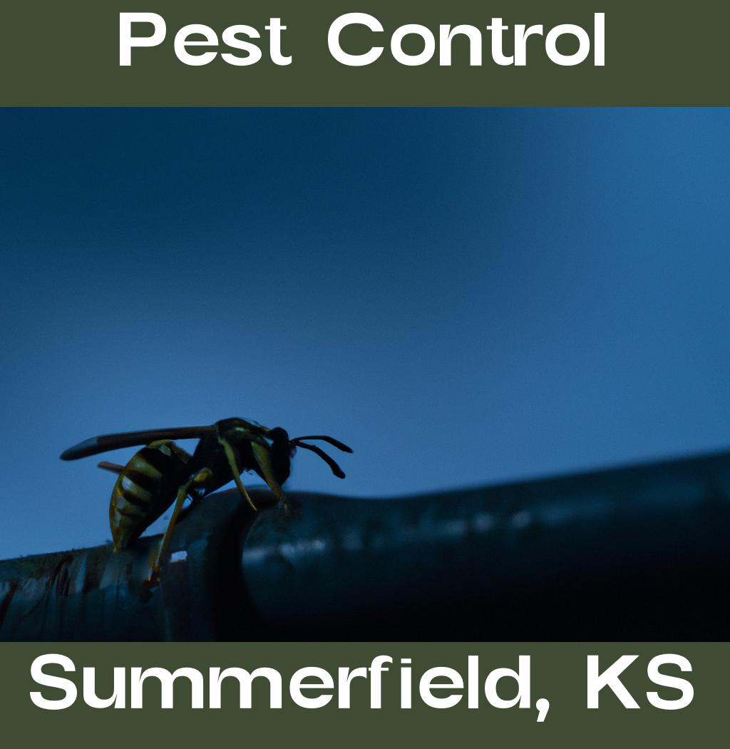 pest control in Summerfield Kansas