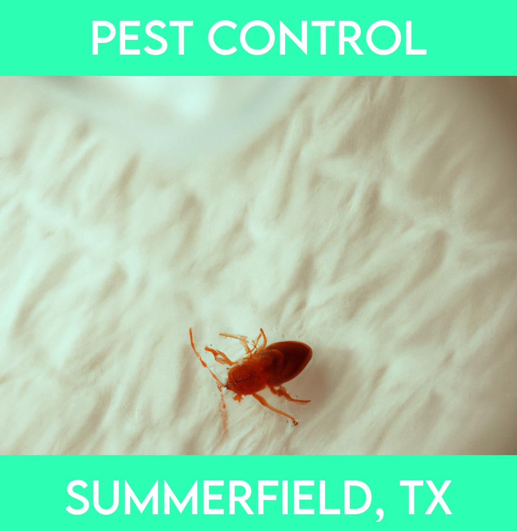 pest control in Summerfield Texas