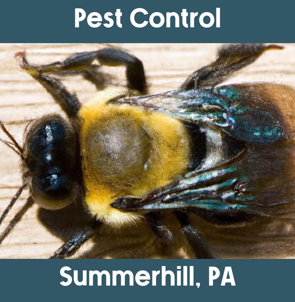 pest control in Summerhill Pennsylvania