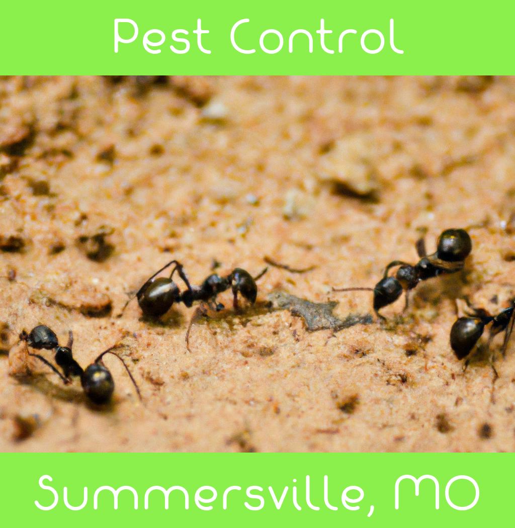 pest control in Summersville Missouri