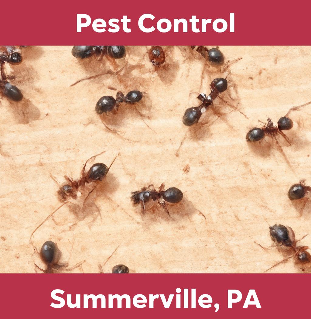 pest control in Summerville Pennsylvania