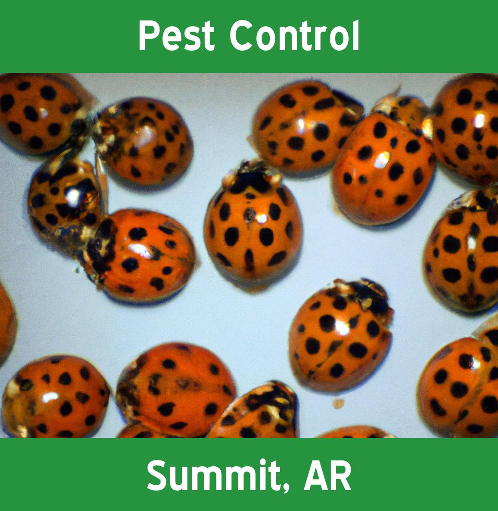pest control in Summit Arkansas