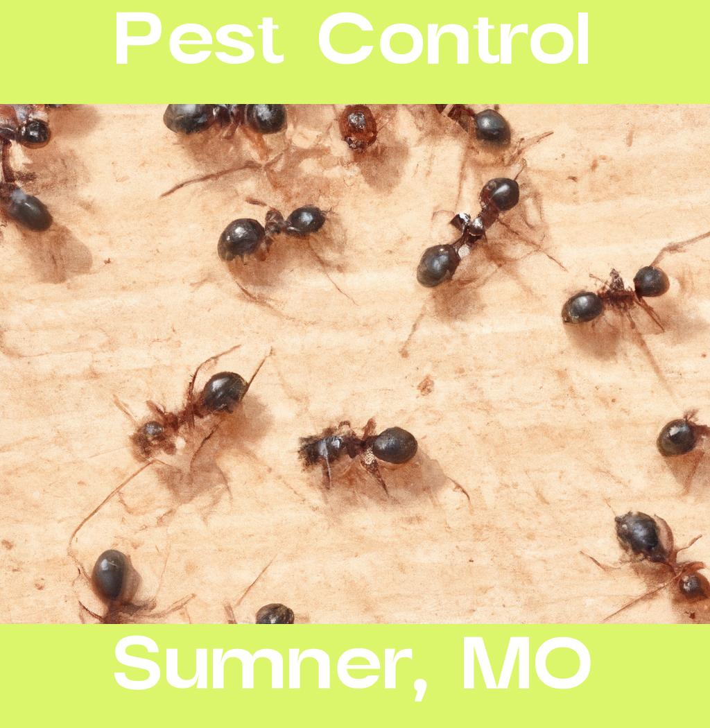 pest control in Sumner Missouri