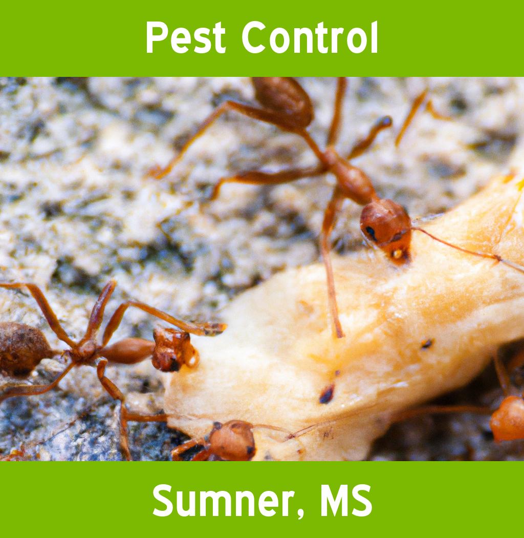 pest control in Sumner Mississippi