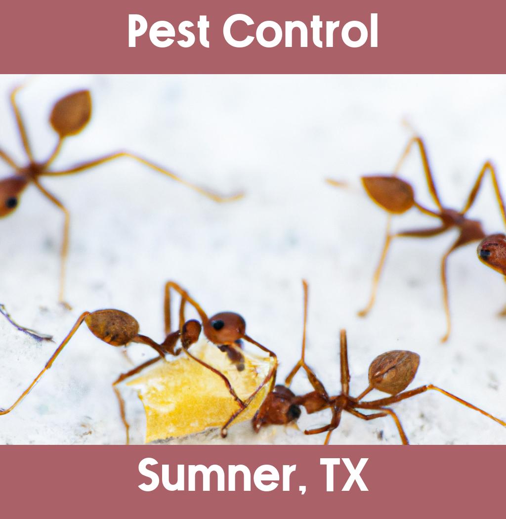 pest control in Sumner Texas