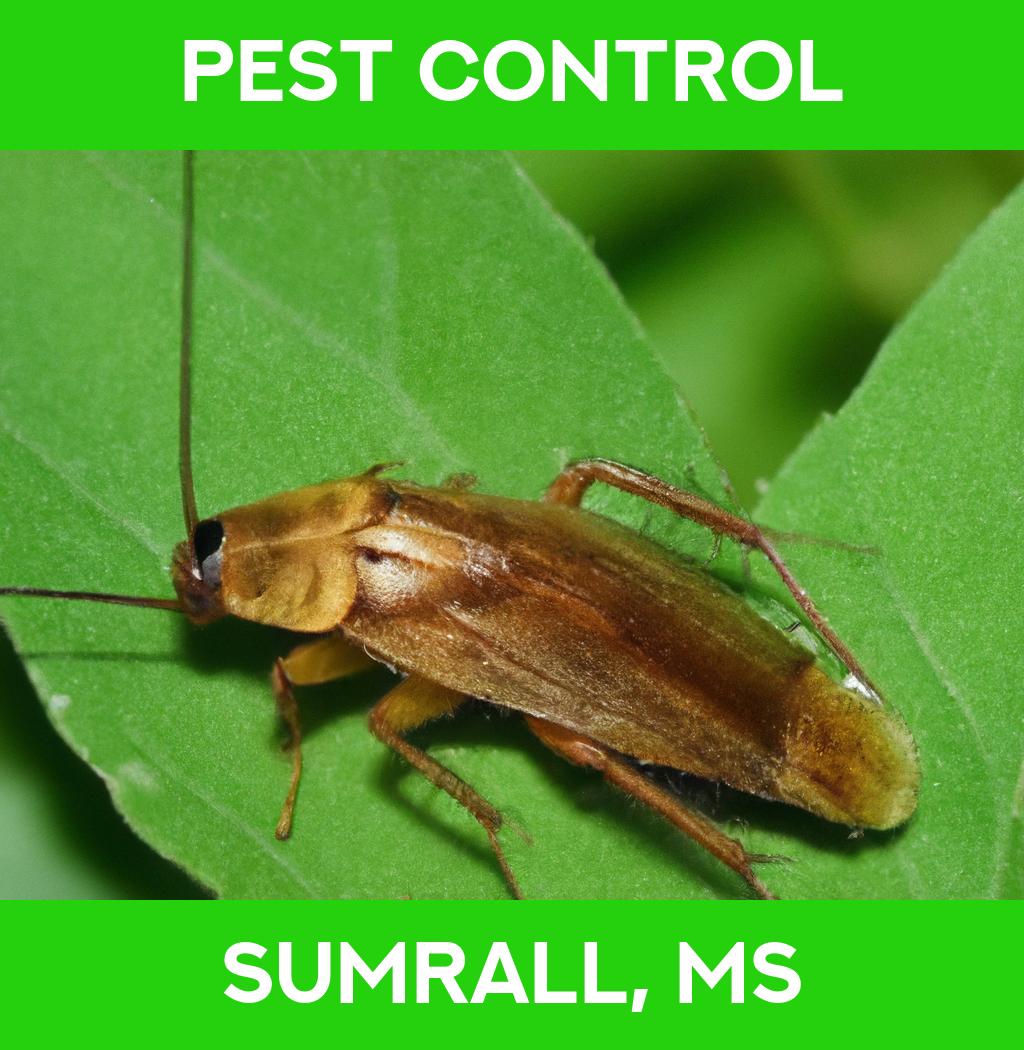 pest control in Sumrall Mississippi
