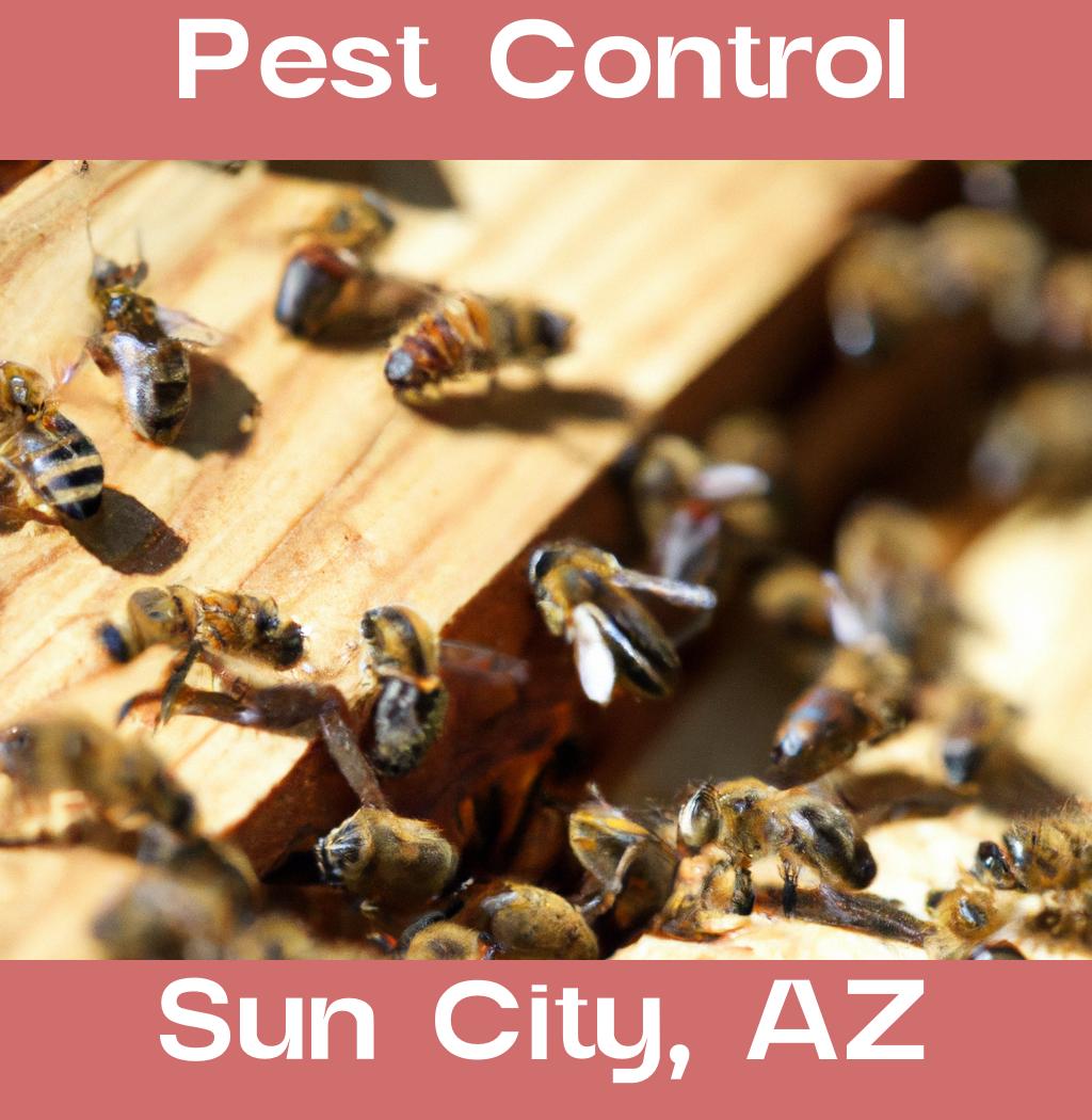 pest control in Sun City Arizona