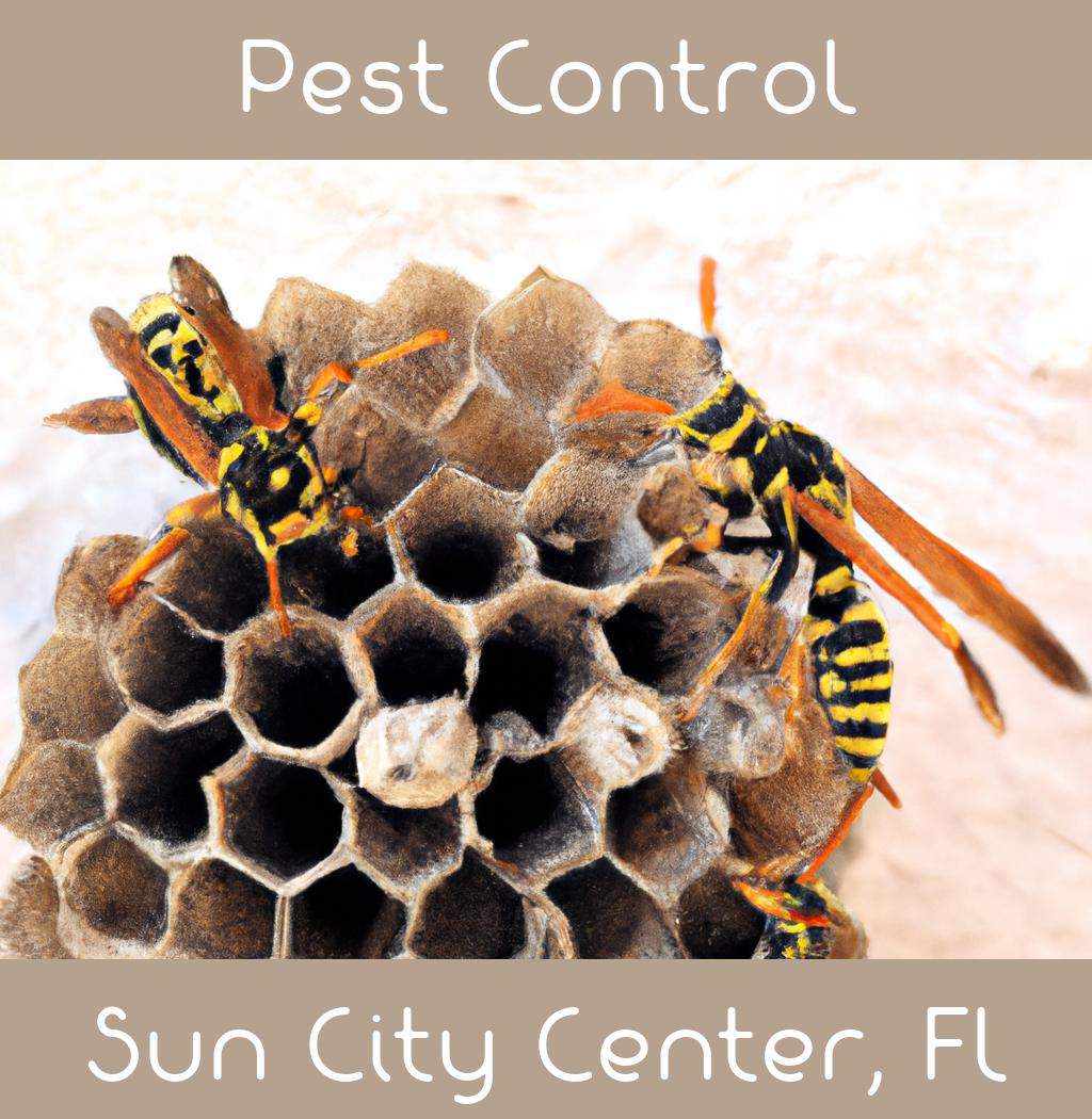 pest control in Sun City Center Florida