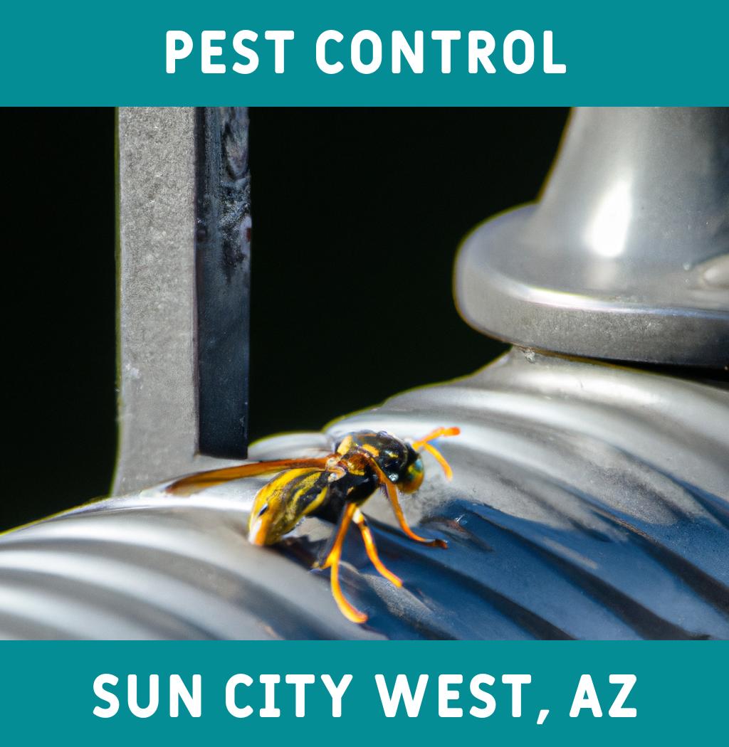 pest control in Sun City West Arizona