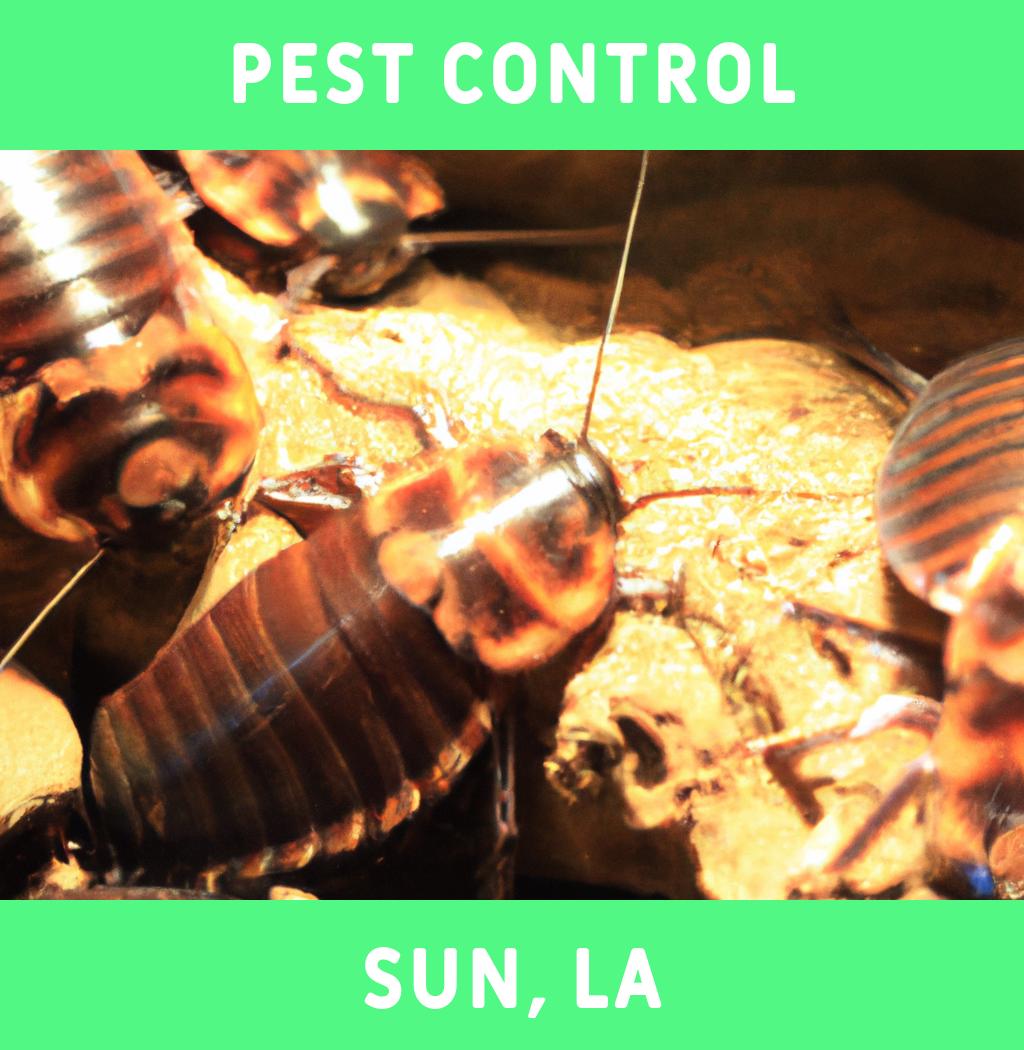 pest control in Sun Louisiana